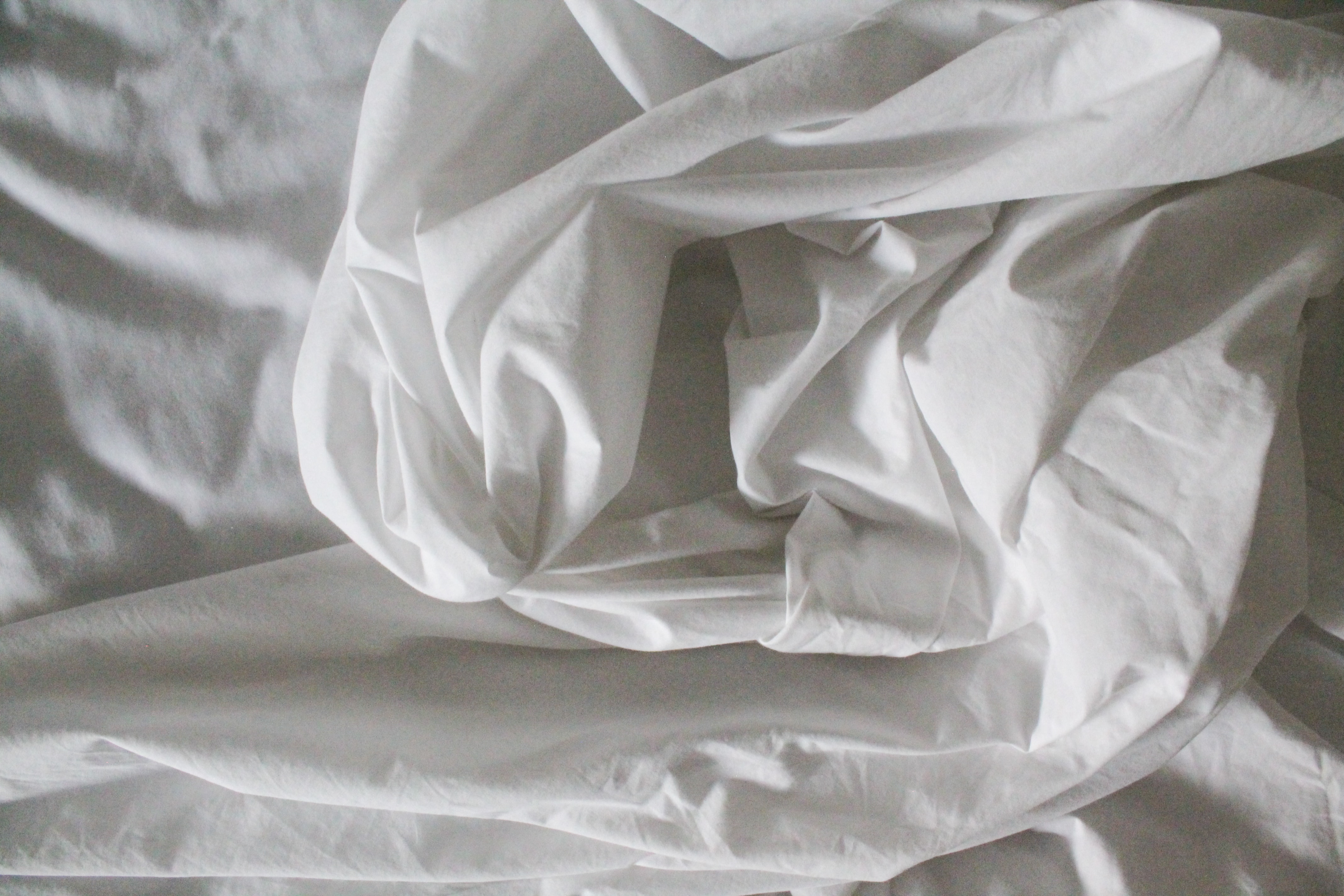 Plain Weave Fabric